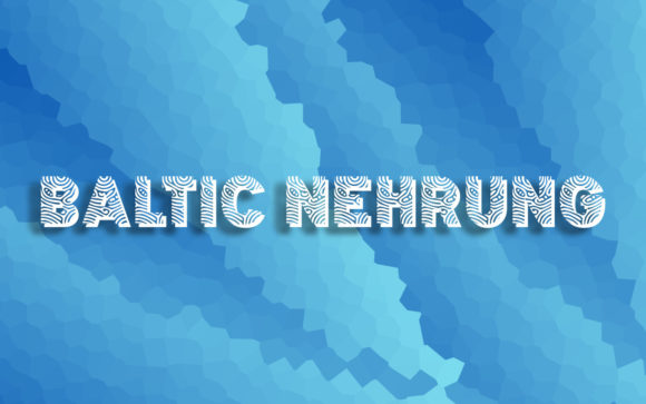 Baltic Nehrung: A Creative Display Font for Modern Designers