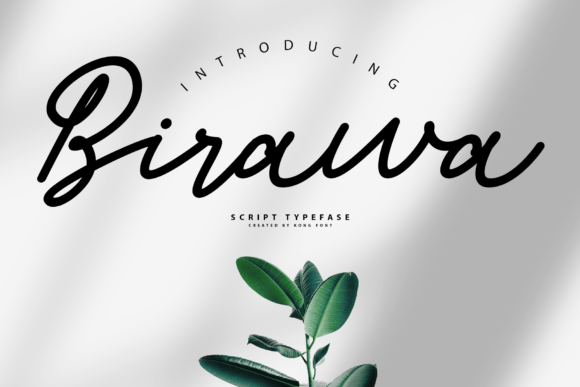 Birawa: A Playful Script Font for Creative Designers