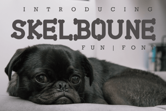 Skelboune: A Modern Serif with Playful Character for Your Next Creative Project